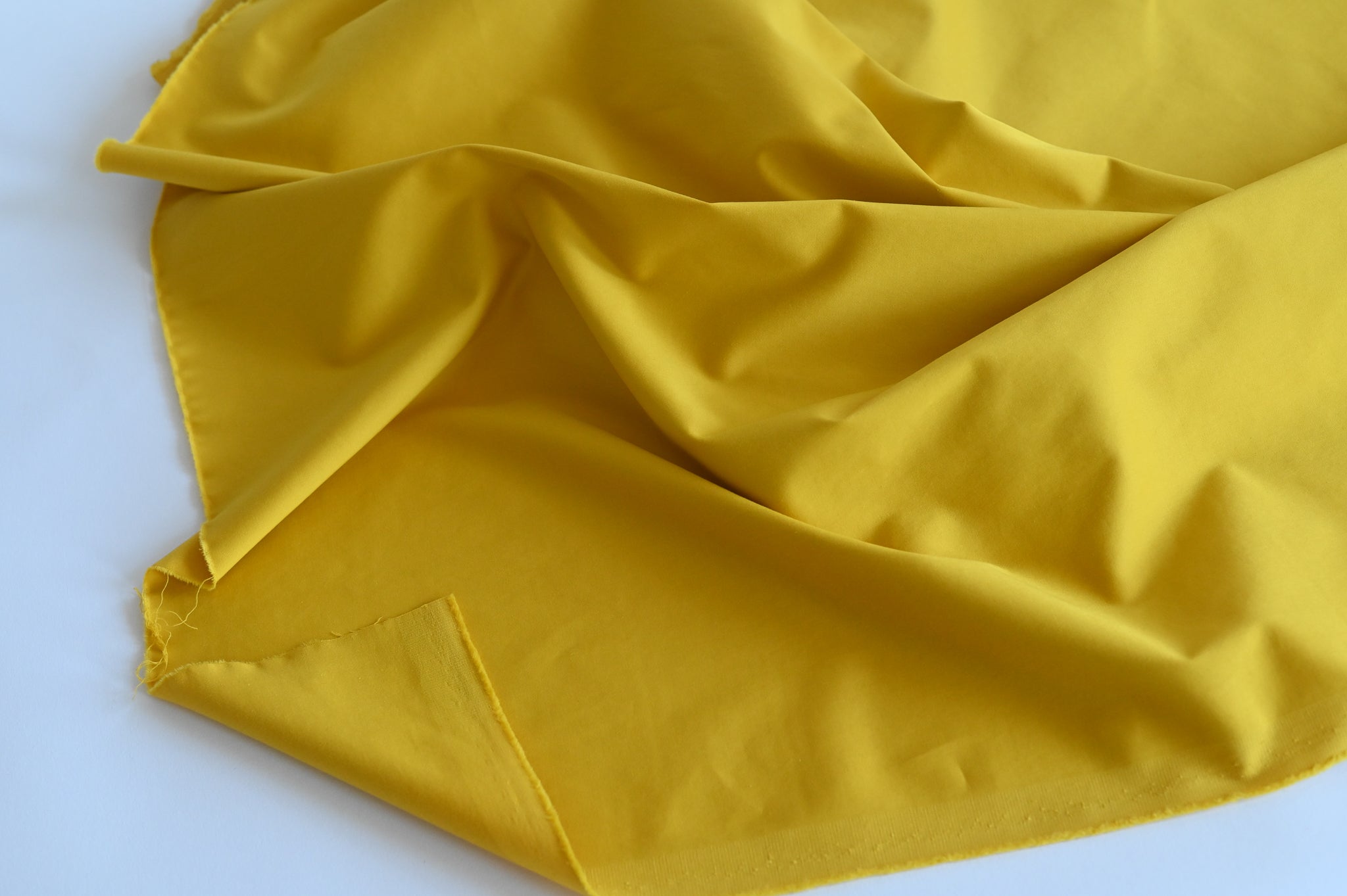 Plainly With A Shine (Freesia) - Cotton