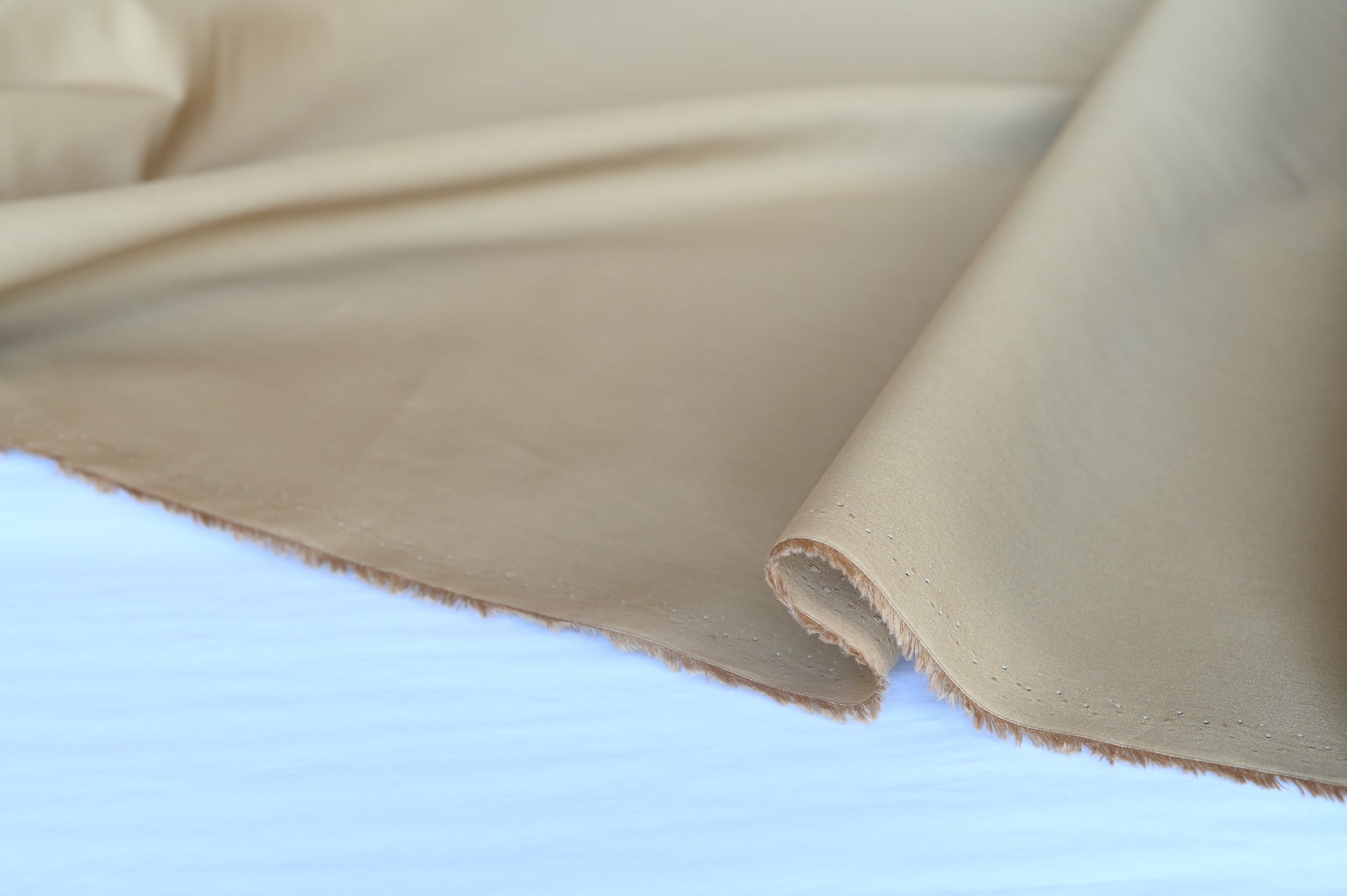 Gather Here For Stories (Beige)  - Cotton Poplin
