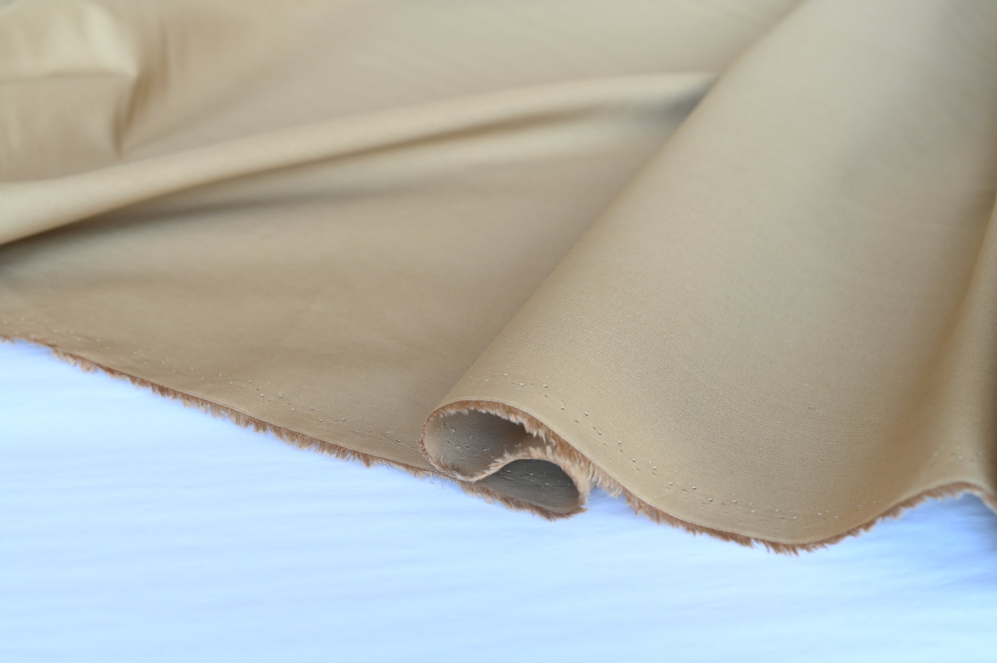 Gather Here For Stories (Beige)  - Cotton Poplin