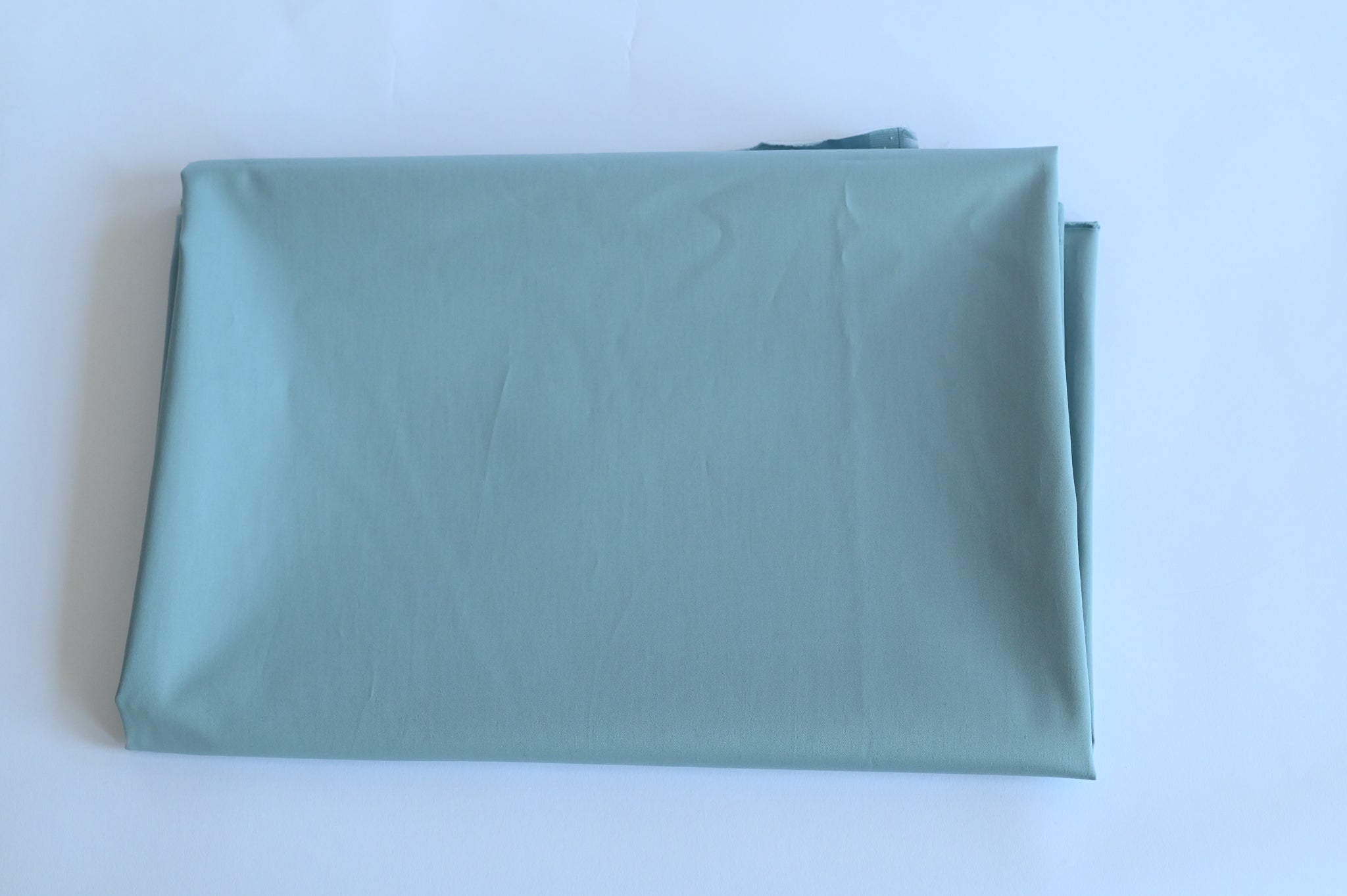 Plainly With A Shine (Canal Blue) - Cotton
