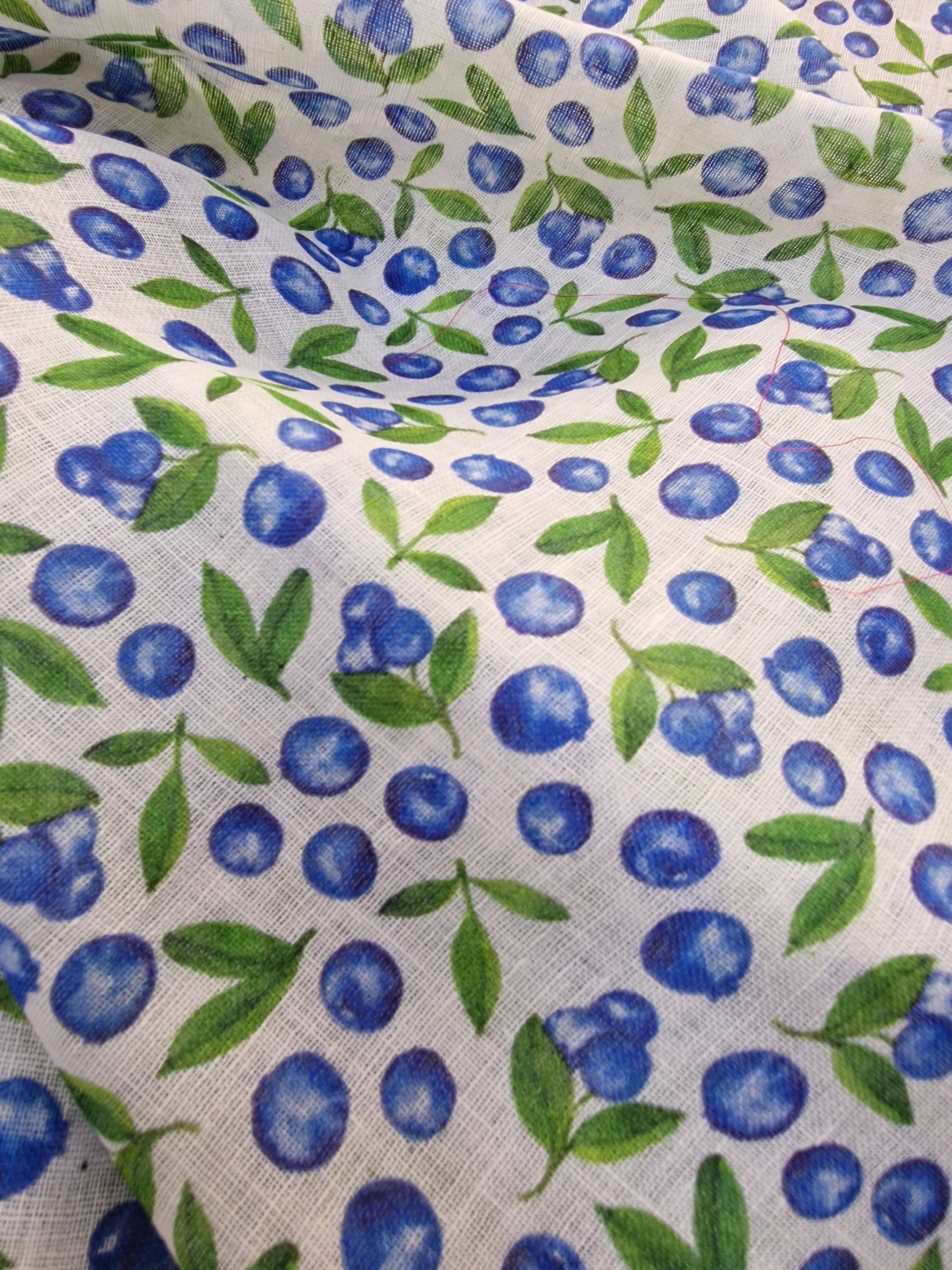 REMNANT - Little Fruity Business - Linen ( 2.10mts at £38)
