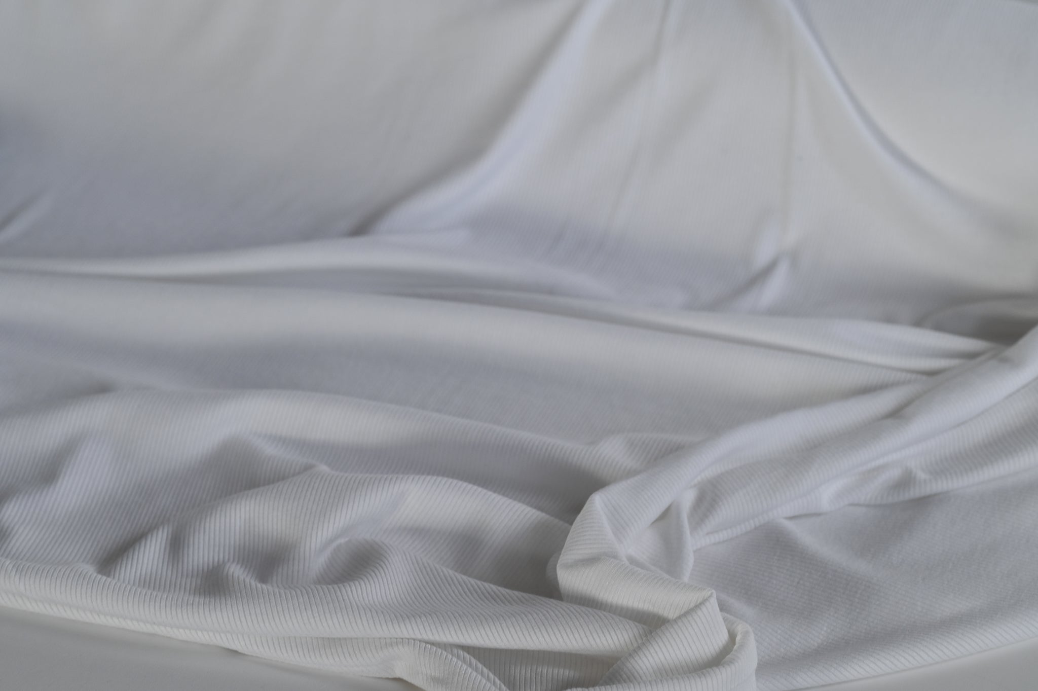 Ribbity Rib (White) - Viscose Jersey